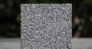 哈密 芝麻黑荔枝面