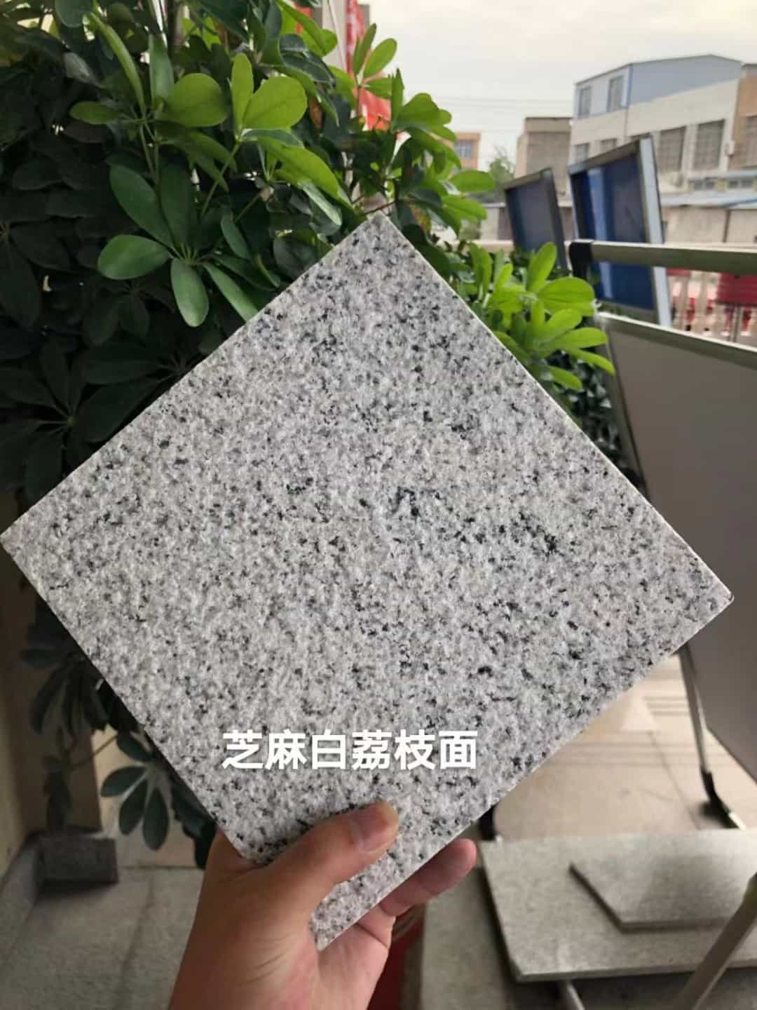 哈密 芝麻白荔枝面干挂
