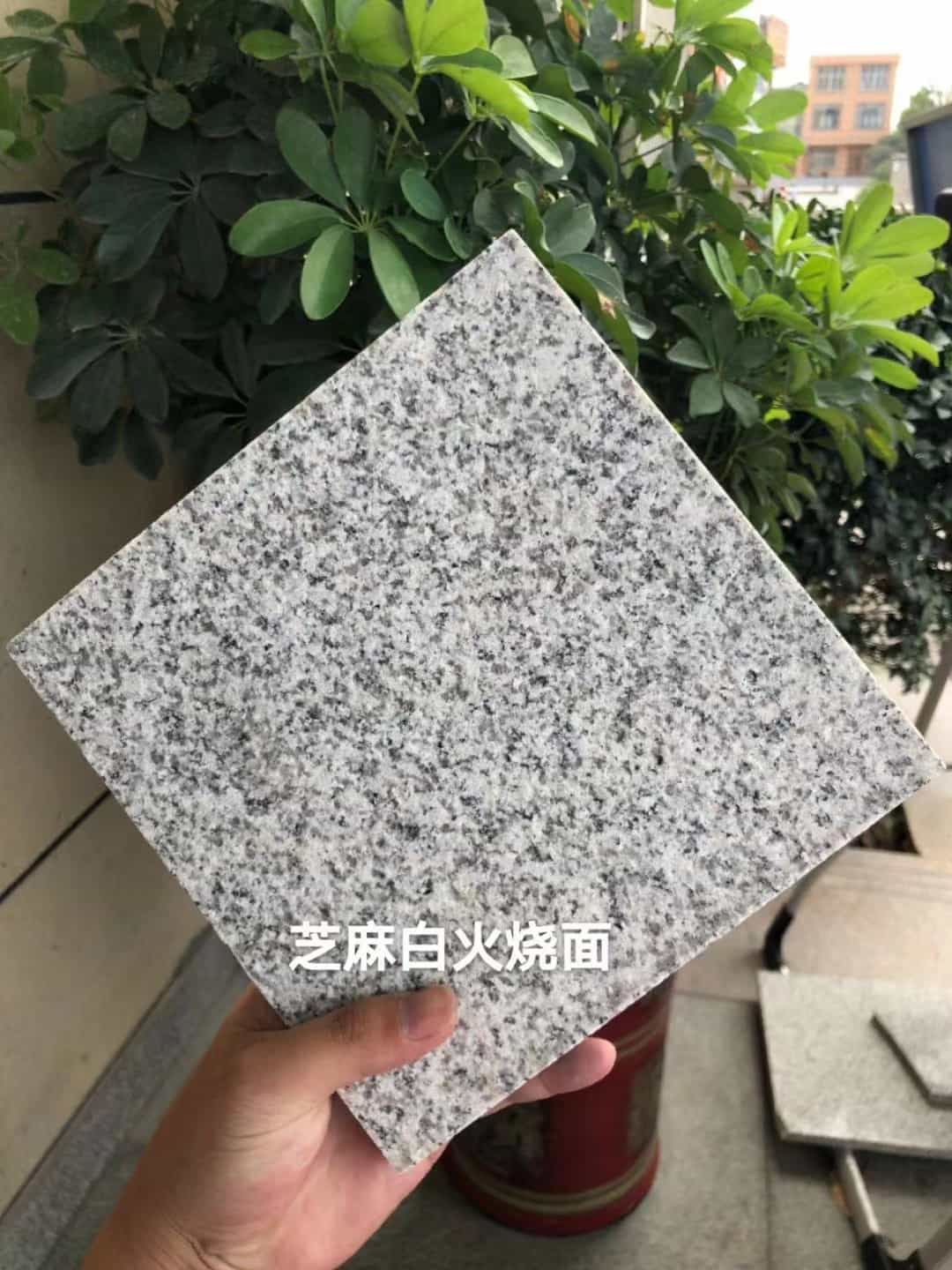 哈密芝麻白火烧面地铺