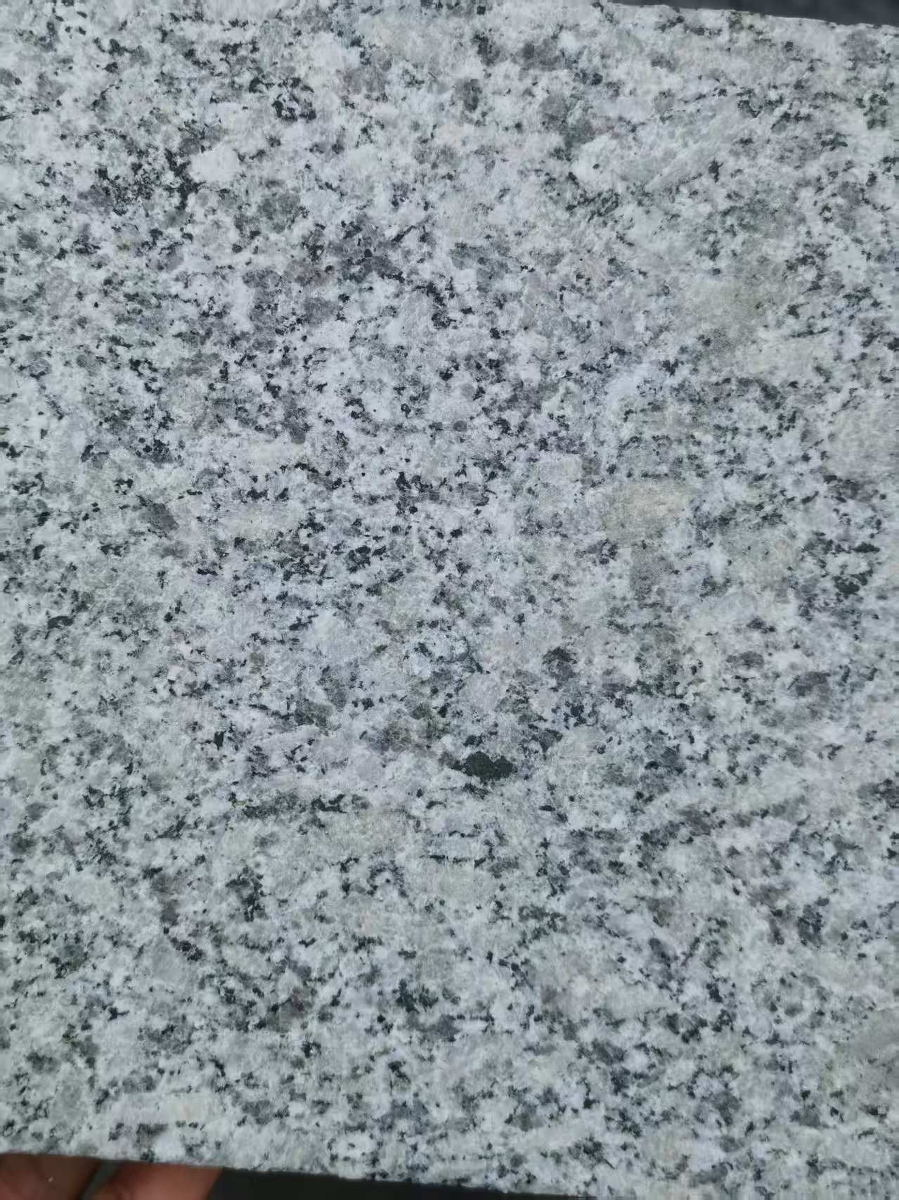 哈密 芙蓉白火烧面
