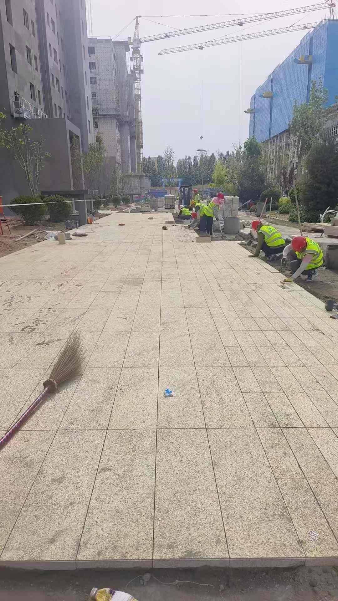 哈密黄金麻荔枝面地铺案例